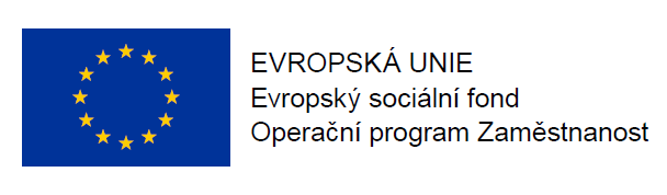 Projekt Implementace Vládní strategie pro rovnost žen a mužů a související aktivity Ministerstva dop