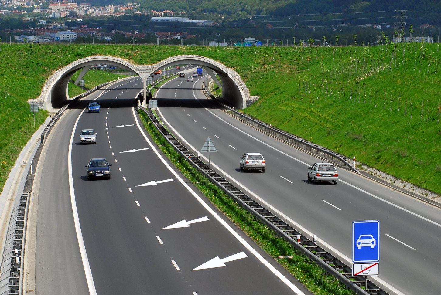 V lednu propadl řidičák 20 tisícům motoristů, o výměnu zdarma si mohou požádat i zpětně