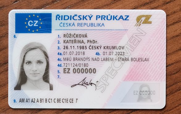 Online application for driving licences makes lives of drivers easier and helps authorities in large cities