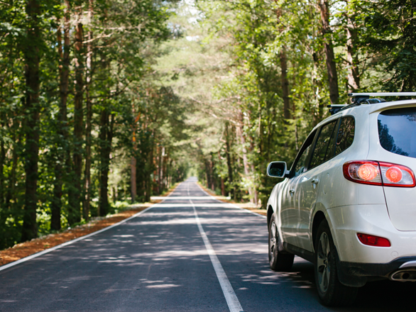 We have launched a register of Ukrainian vehicles in the Czech Republic